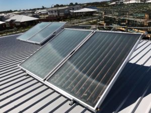 Solar hot water panels mounted on a metal roof in Noosa, harnessing sunlight to provide efficient hot water for your home.